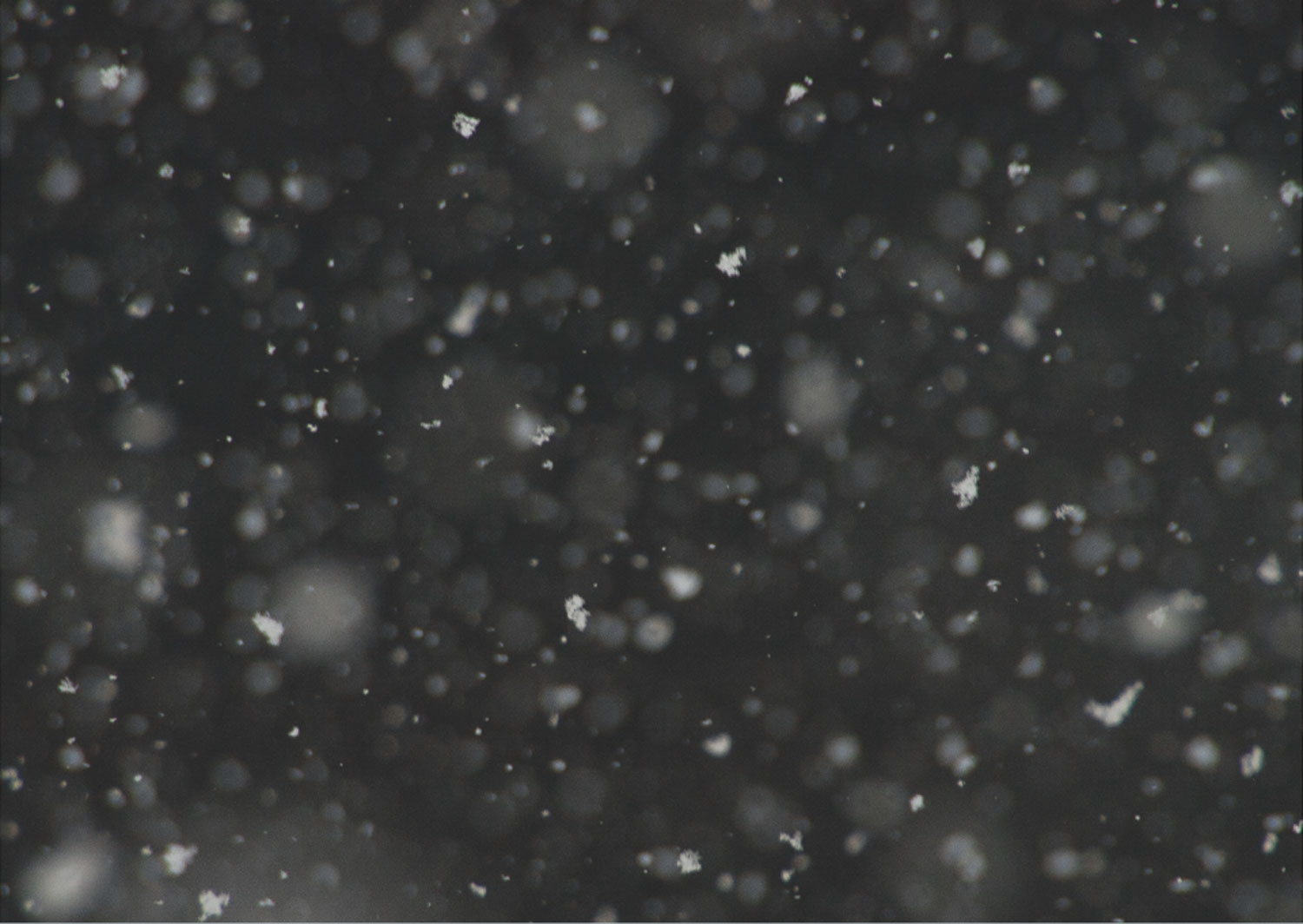 Schneeflocken Closeup