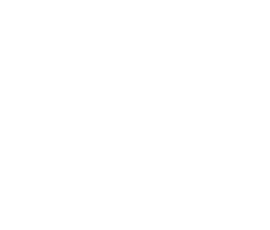 All Active Logo Icon weiss
